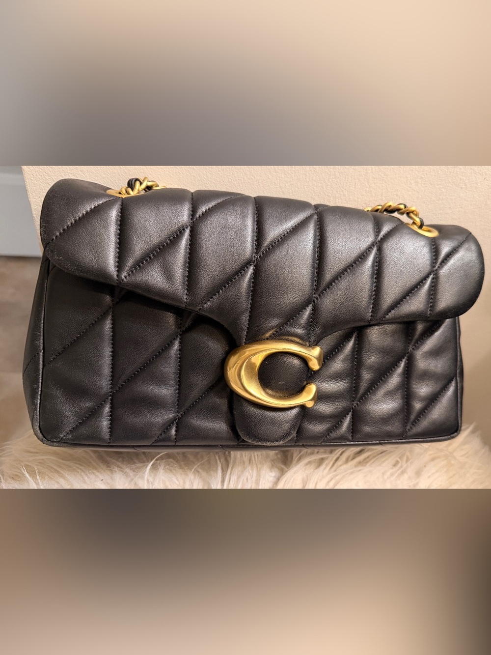Black Tabby Shoulder Bag 26